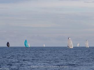 Solitaire du Figaro : Armel Le Cléac'h attendu...
