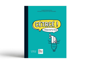 Fabrice Amedeo : un projet pédagogique consacré à la préservation des océans sur le Vendée Globe