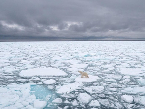 La banquise d'été de l'Arctique au deuxième plus bas niveau jamais observé