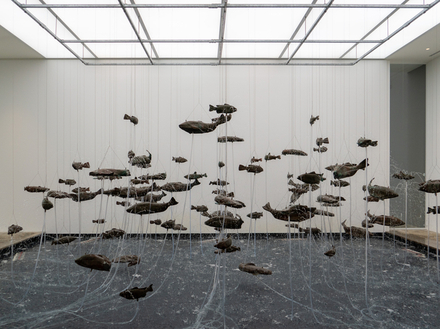 La fontaine de poissons en apesanteur de Bruce Nauman La fontaine de poissons en apesanteur de Bruce Nauman
