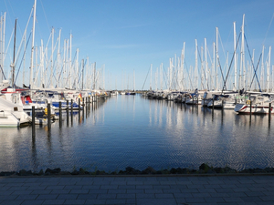 FIN : signature d'une nouvelle convention collective pour moderniser et renforcer l'attractivité de la filière nautique