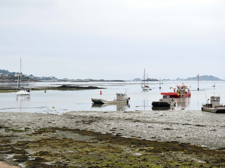 Avant-port Avant-port