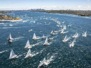 La Sydney-Hobart aura bien lieu, mais avec une flotte réduite