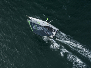 Vendée Globe : tout faire pour éviter les collisions avec les baleines 