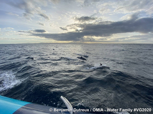 Vendée Globe : récit d'une nuit agitée