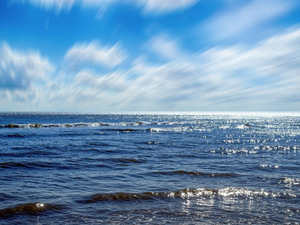 Mission Starfish 2030, les Français appelés à donner leur avis sur l'avenir de l'océan