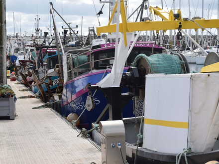 Bateaux de pêche Bateaux de pêche