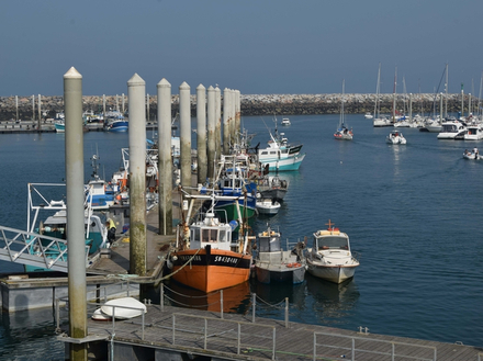 Port de pêche