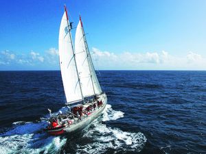 Mission Microbiomes : la nouvelle expédition de la Fondation Tara Océan