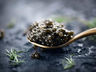 Gastronomie : découverte du caviar !