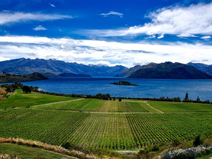 Nouvelle-Zélande : les frontières fermées pendant une grande partie de 2021