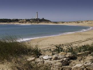 A la découverte de Cadix et de la sublime...