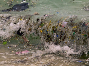 Plastiques: « il n'est plus possible de nettoyer les océans », affirment des chercheurs