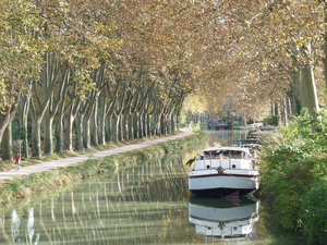 Trafic fluvial : 300 millions d'euros seront investis en 2021, selon Voies navigables de France