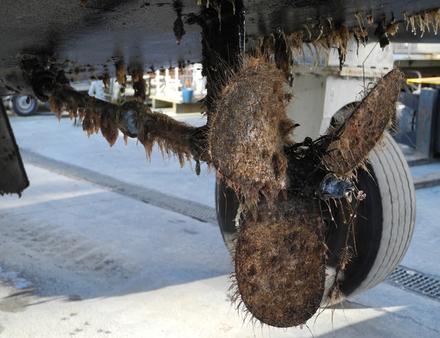 Difficile de protéger l'hélice et son arbre... Nautisme Article