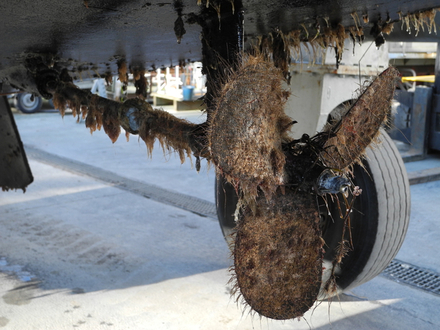 Difficile de protéger l'hélice et son arbre... Nautisme Article