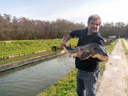 Nicolas Proust, responsable d'exploitation avec un esturgeon