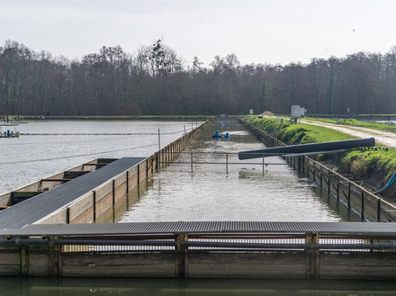 Bassins d'élevage Nautisme Article