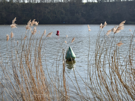 Le balisage est proche de la berge Le balisage est proche de la berge