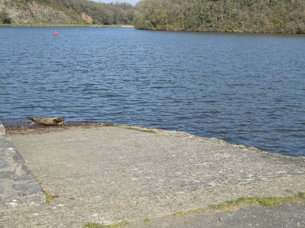 Cale de mise à l'eau du petit Lyvet