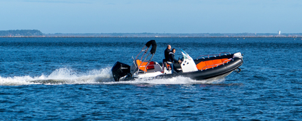 Medline 6.8 en navigation