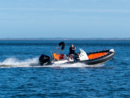 Medline 6.8 en navigation