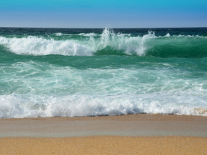 Une semaine quasi estivale sur nos côtes !