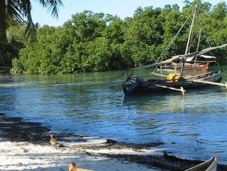 Trouverez-vous le trésor du pirate La Buse ?