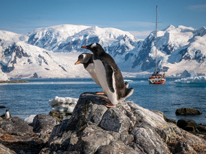Reportage photos : croisière en Péninsule Antarctique