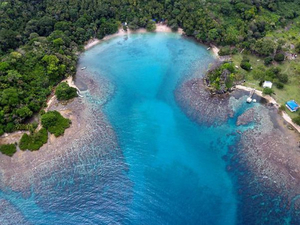 Panama : pépinière et éducation pour sauver les récifs coralliens