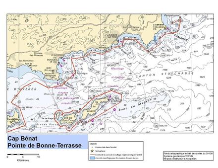 Extrait arrêté PREMAR zone Hyères Bénat Camarat Nautisme Article