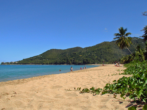 Guadeloupe: avec la levée des motifs impérieux, les premiers vacanciers débarquent