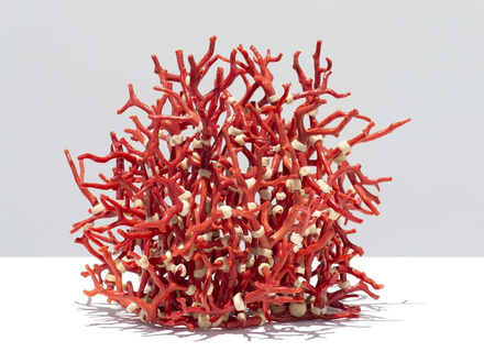 HUBERT DUPRAT Corail Costa Brava 1994 - 2020 HUBERT DUPRAT Corail Costa Brava 1994 - 2020