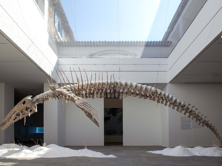 BIANCA BONDI The Fall and Rise, 2021