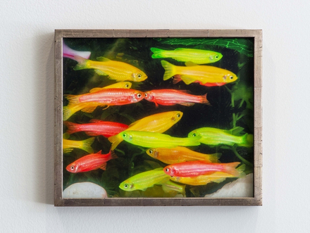 MICHAEL E. SMITH Untitled, 2011