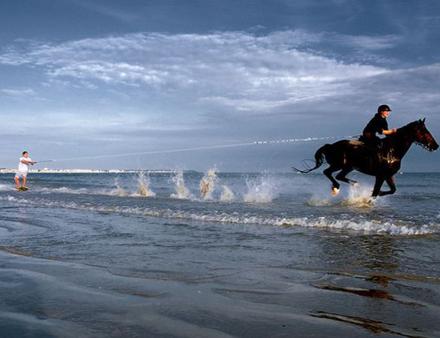 Le horse surfing Nautisme Article