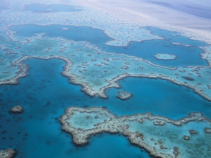 Grande Barrière de corail en danger pour l'Unesco, l'Australie prête à contester