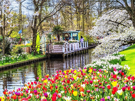 Keukenhof