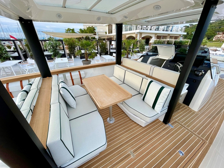 Swan Shadow Swan Shadow