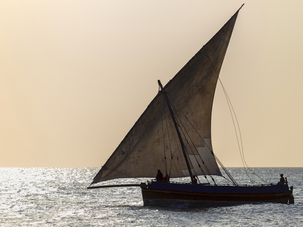 Dhows Nautisme Article