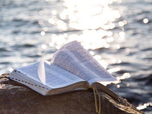 Une Mer à lire : 5 romans à offrir pour Noël