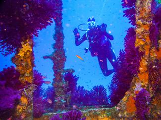 Visite d'une superbe épave : « Le Grec » à...