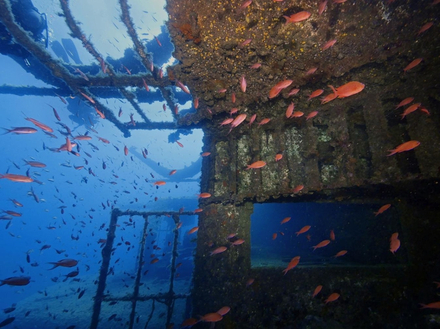 Le Chaouen Nautisme Article