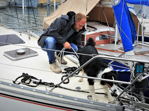 Naviguer avec son animal de compagnie : les conseils MAIF