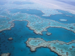 Australie: les perspectives pour la Grande Barrière restent 'très mauvaises', selon des scientifiques