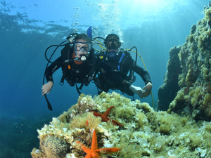 Nous avons testé pour vous : le baptême de plongée