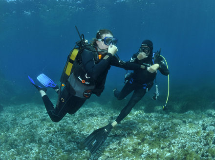 Nautisme Article