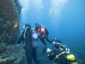 Nous avons testé pour vous : le passage du niveau 1 en plongée