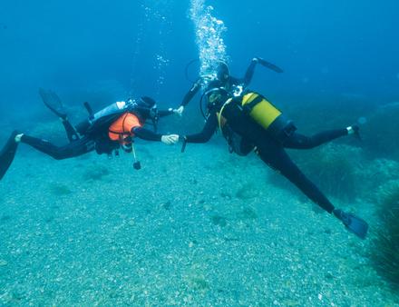 Nautisme Article