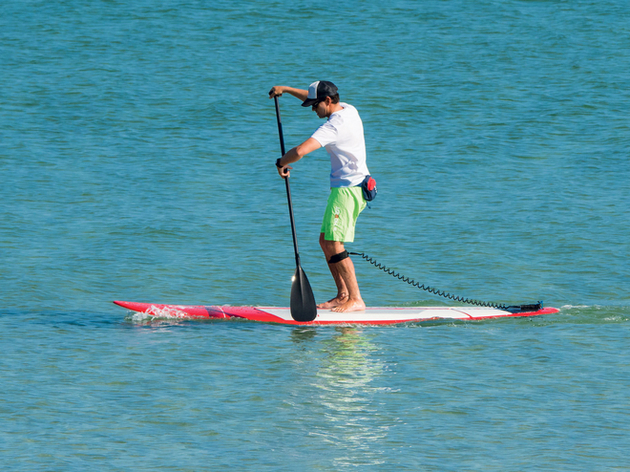 Nautisme Article
